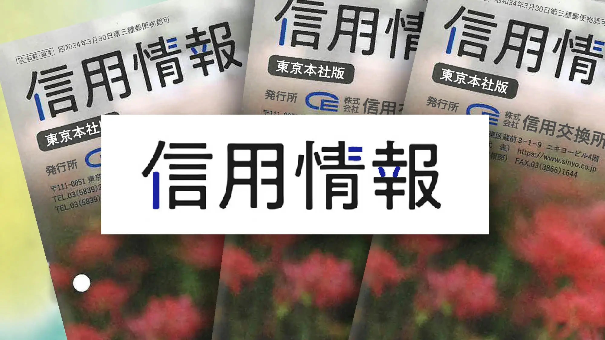 「信用情報」2025年9月19日号にて展示会「SUNAYAMAGIC Vol.14」の内容をご紹介いただきました。
