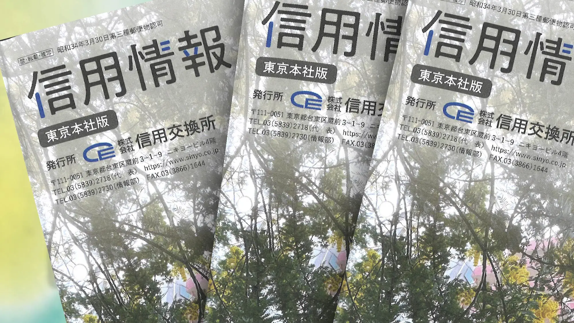 「信用情報」2025年3月21日号にて弊社展示会「SUNAYAMAGIC Vol.13」をご紹介いただきました。